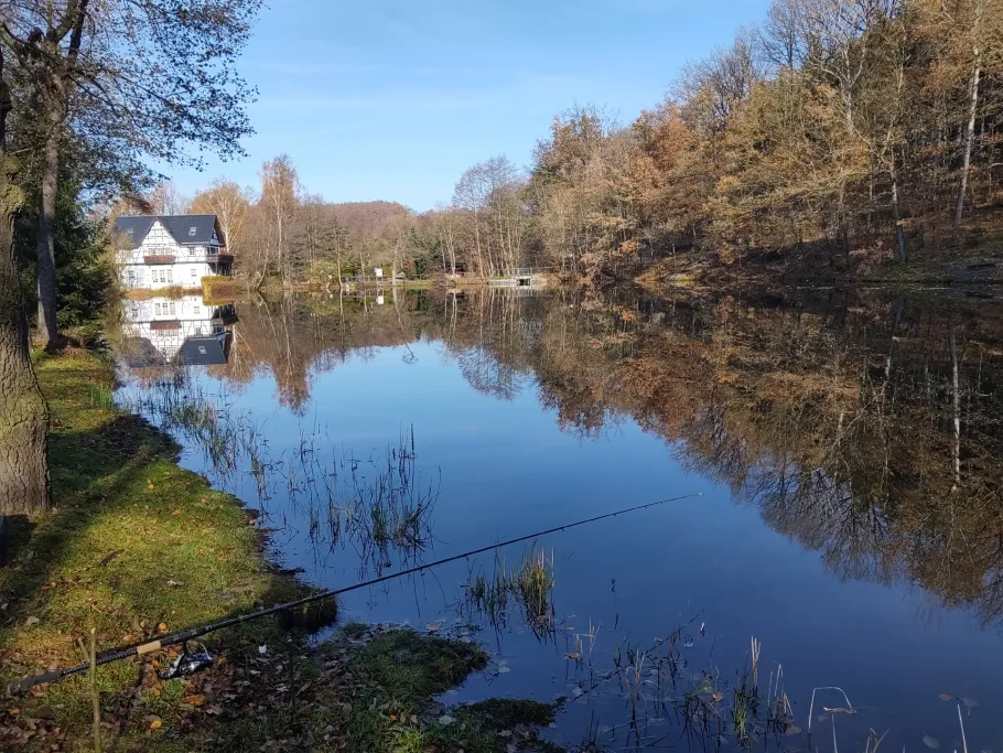 Eckhardtteich (Burkhardtsdorf) angeln