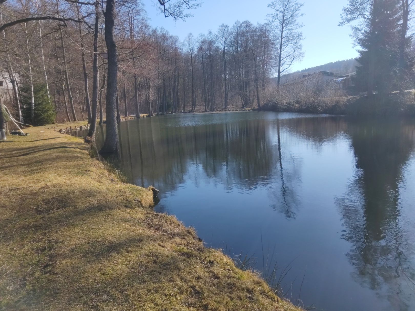 Eckhardtteich (Burkhardtsdorf) angeln