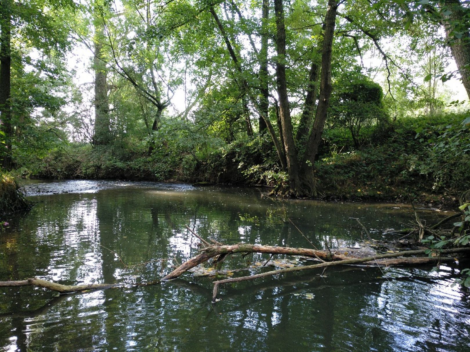 Emmer (Nieheim) angeln