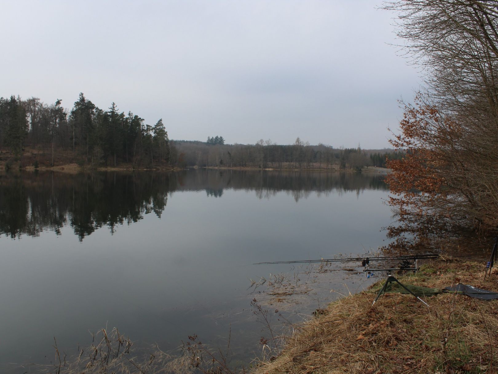 Teufelsteich (Harzgerode) angeln