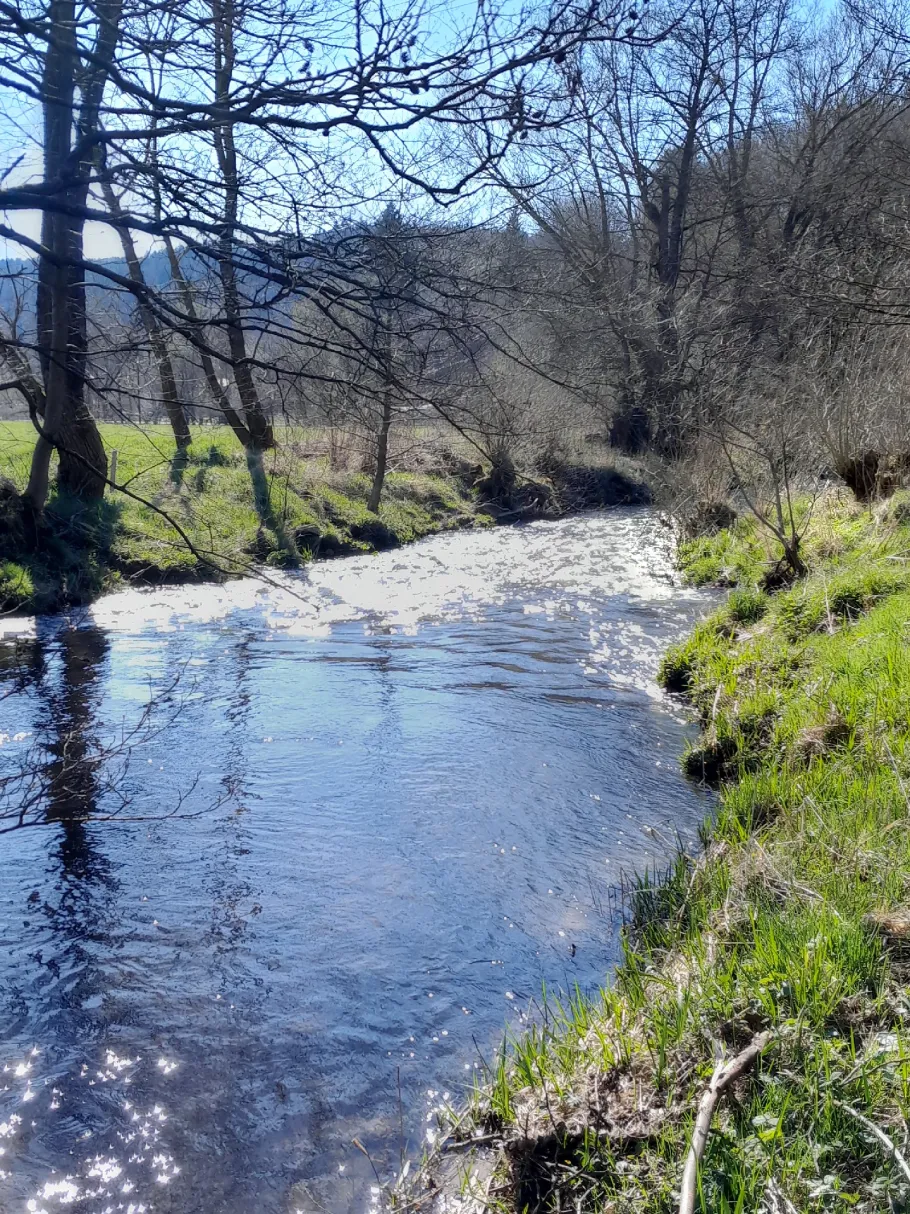 Hasel (Steinbach-Hallenberg) angeln