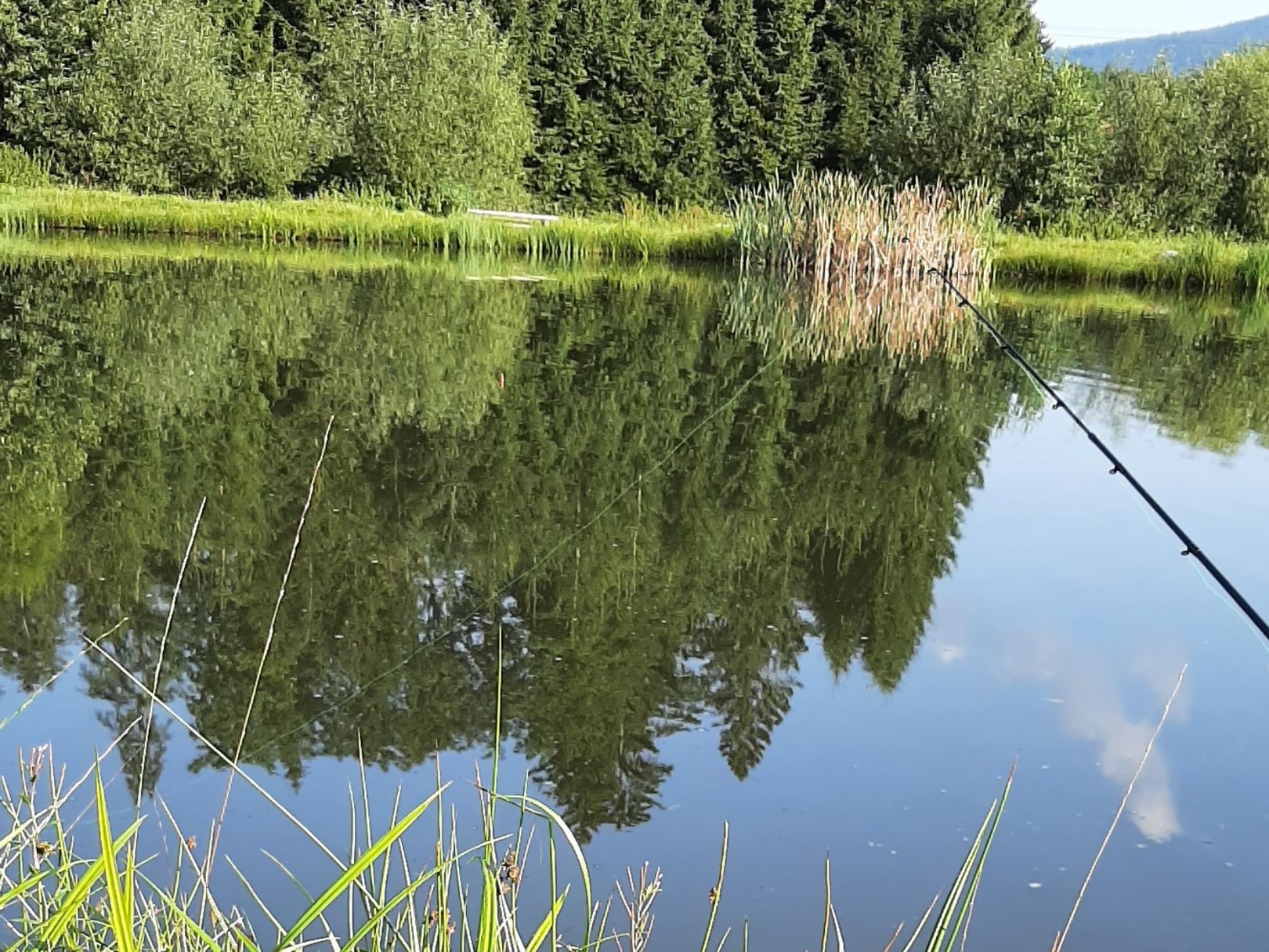 Angeln in Spiegelau