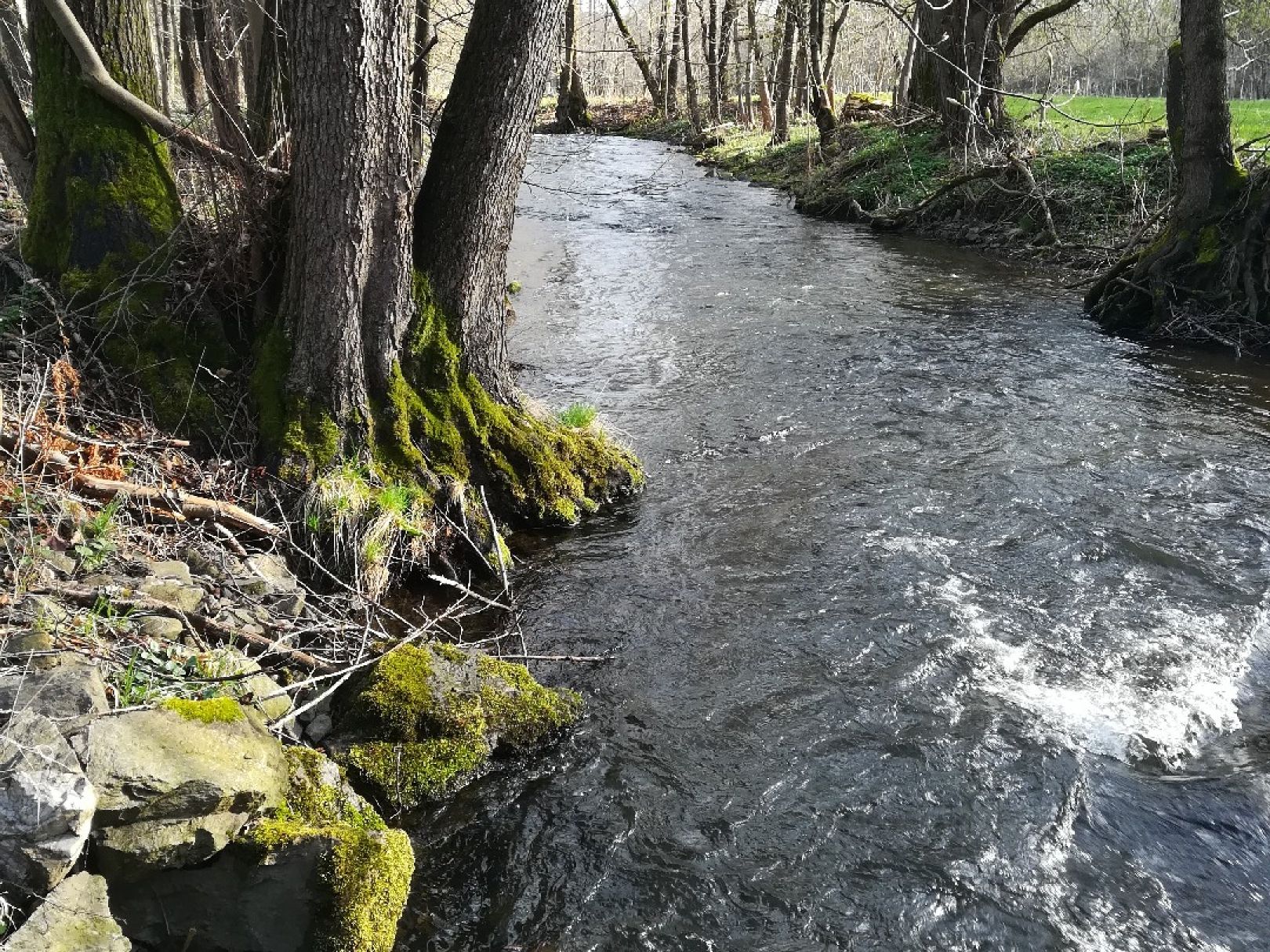 Pöhlwasser angeln