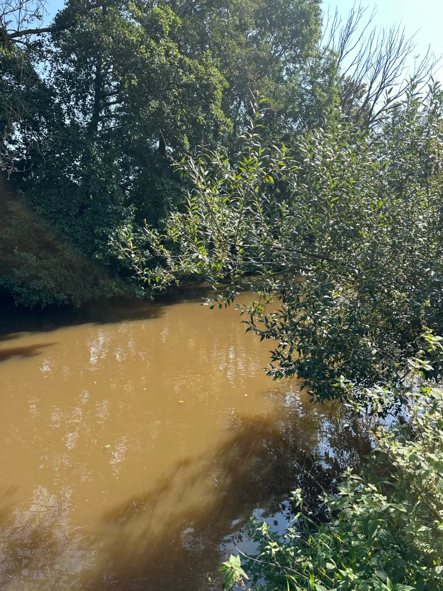 Schmutter (Meitingen) angeln
