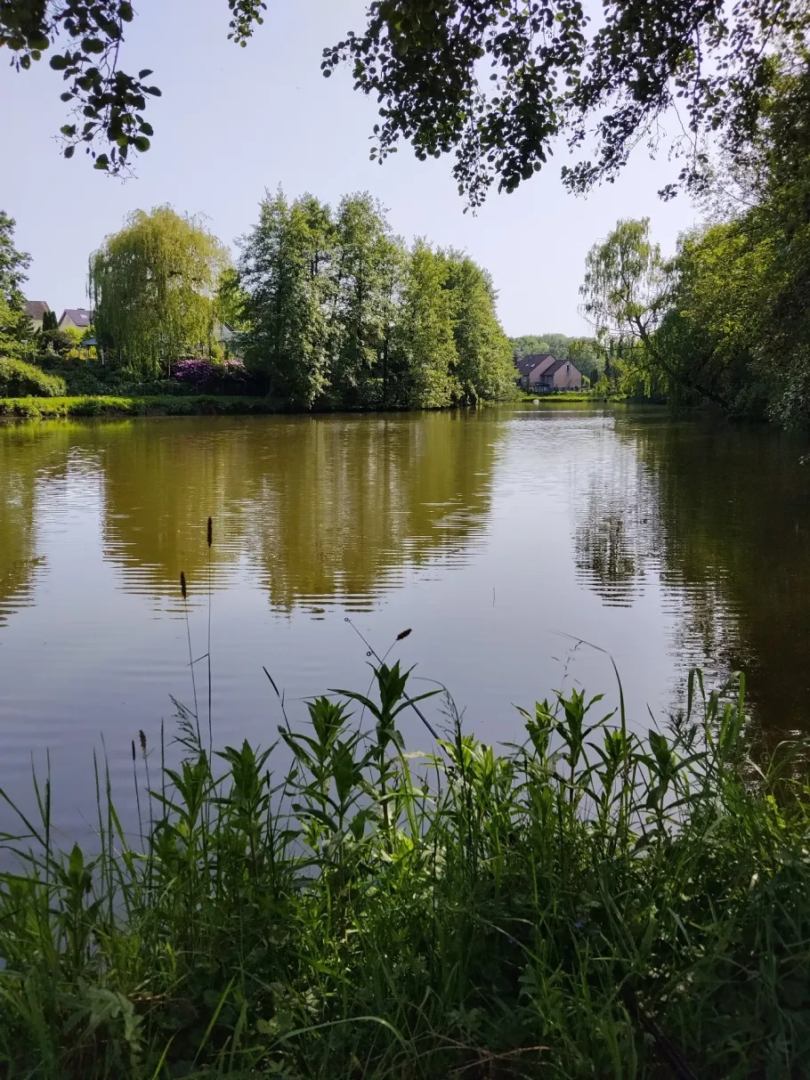 Gärtnerteich (Deppendorf) angeln