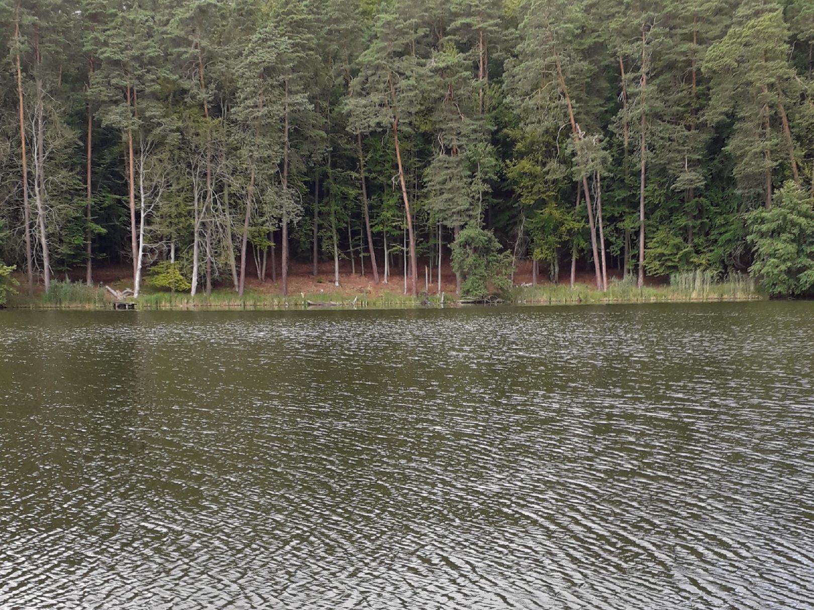 Angeln in Storbeck-Frankendorf