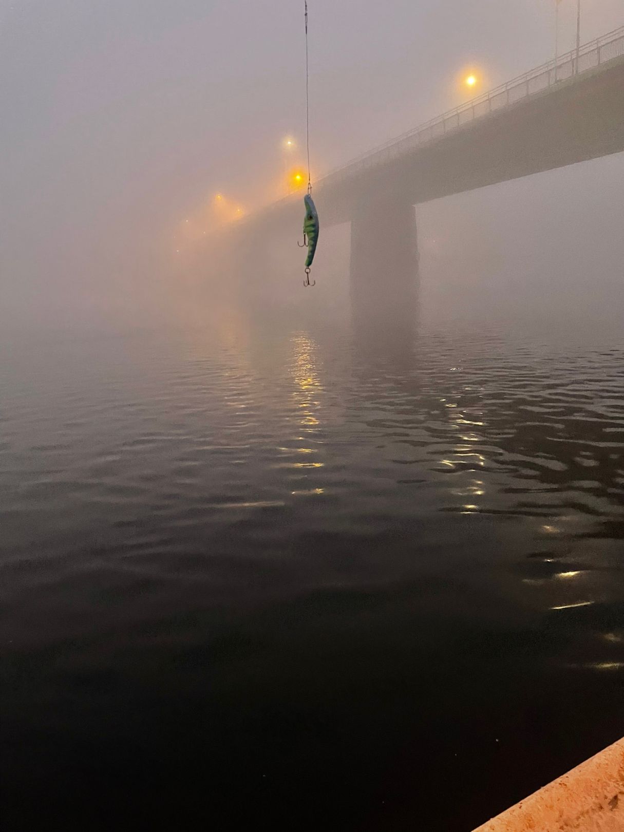 Angeln in Breisach am Rhein