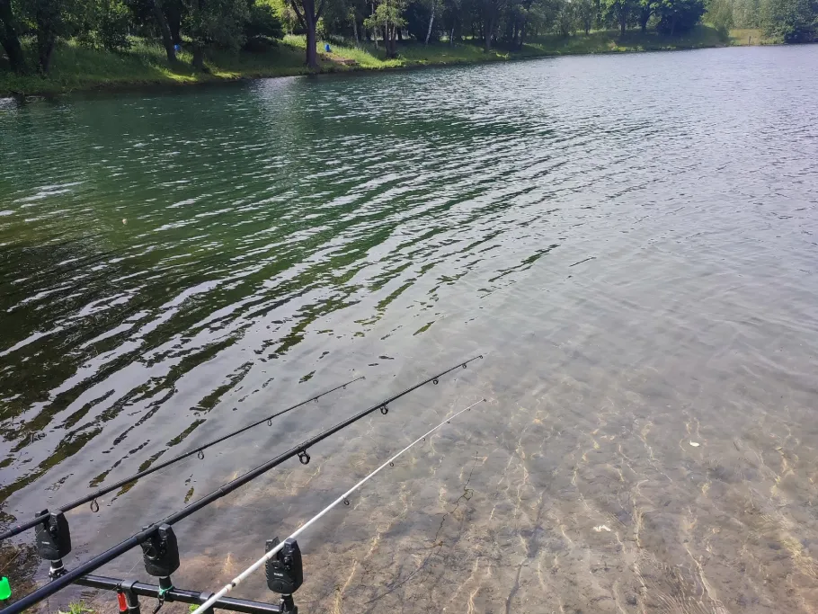 Kiesgrube Gelinter (Wachtendonk) angeln