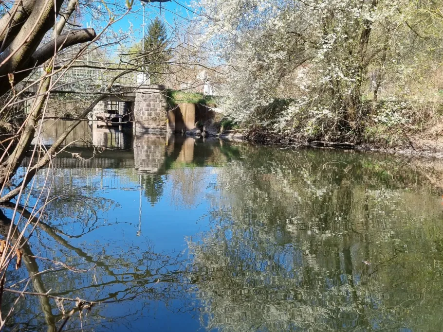 Werra (Bad Salzungen) angeln