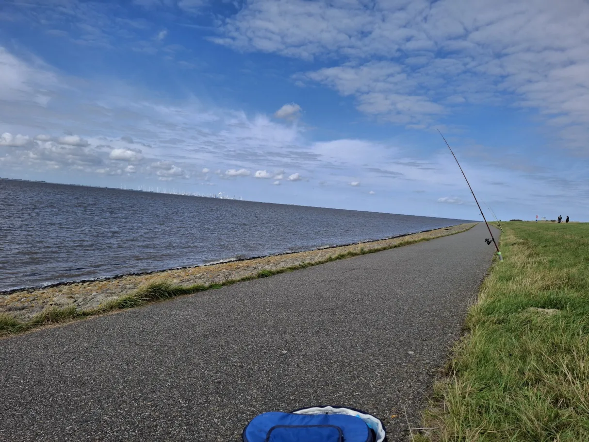 Nordsee (Rysumer Nacken) angeln