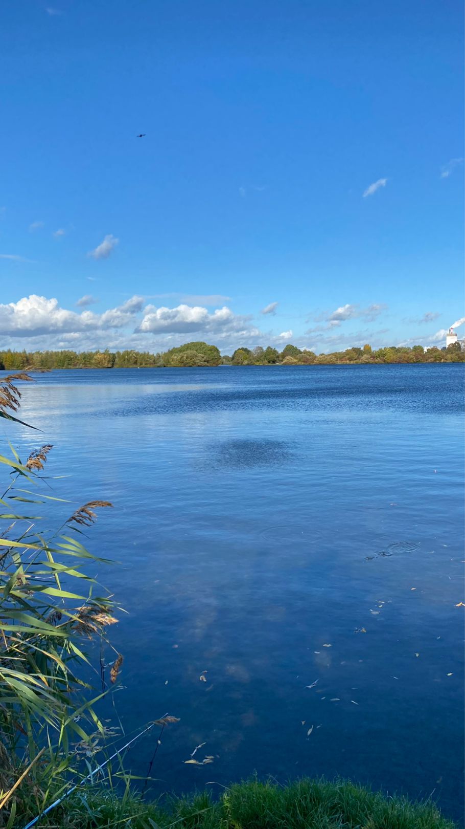 Hemelinger See angeln