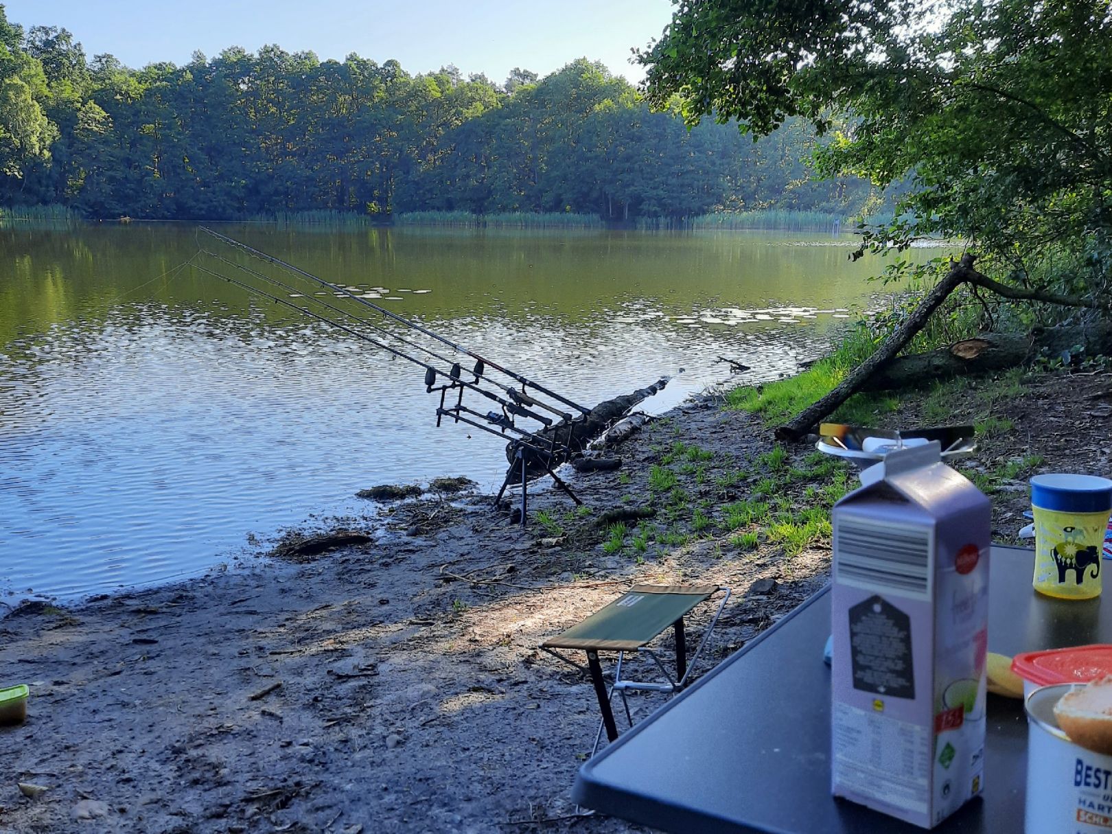 Kleiner Plötzsee angeln