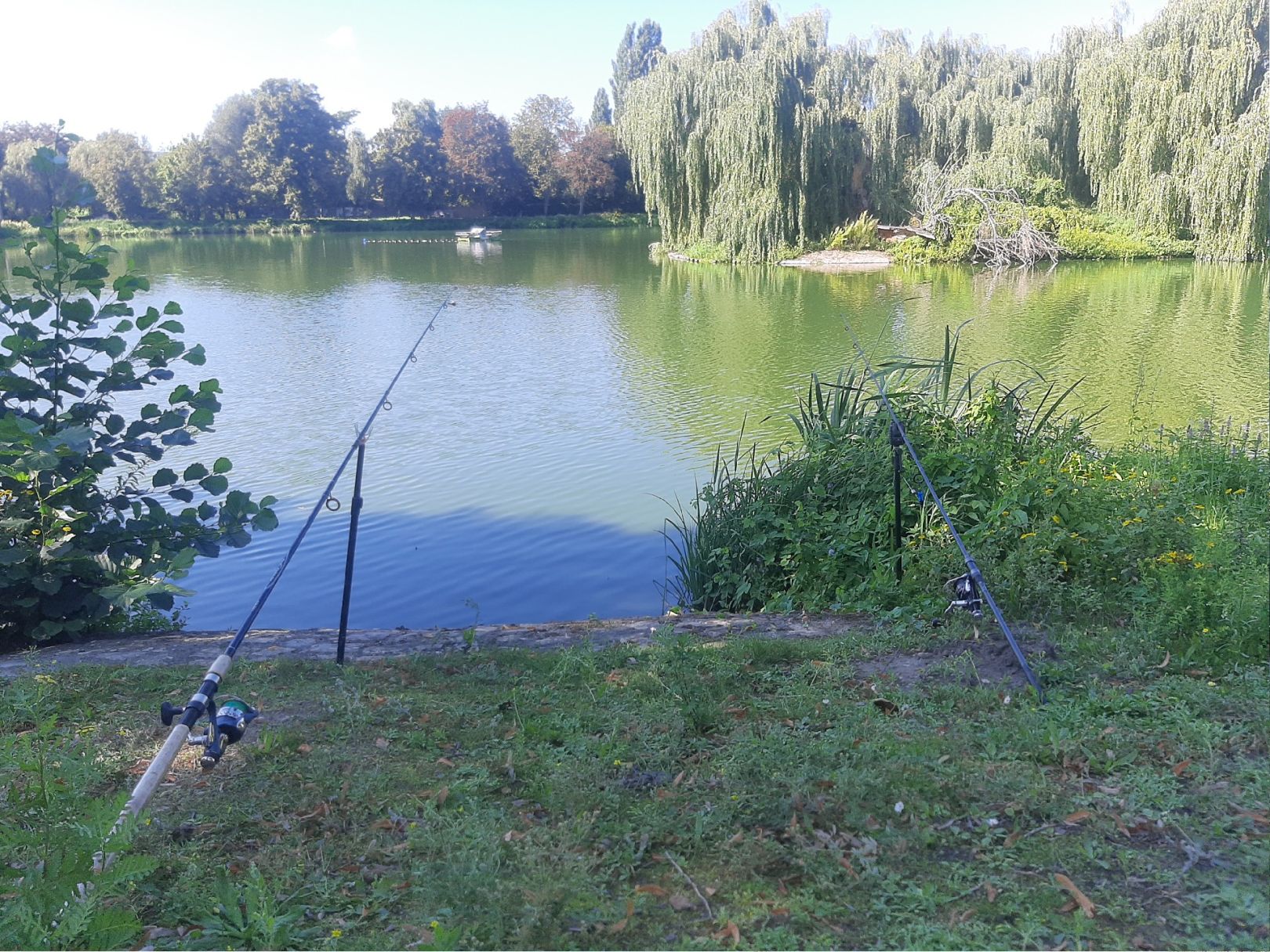 Stadtsee Stendal angeln