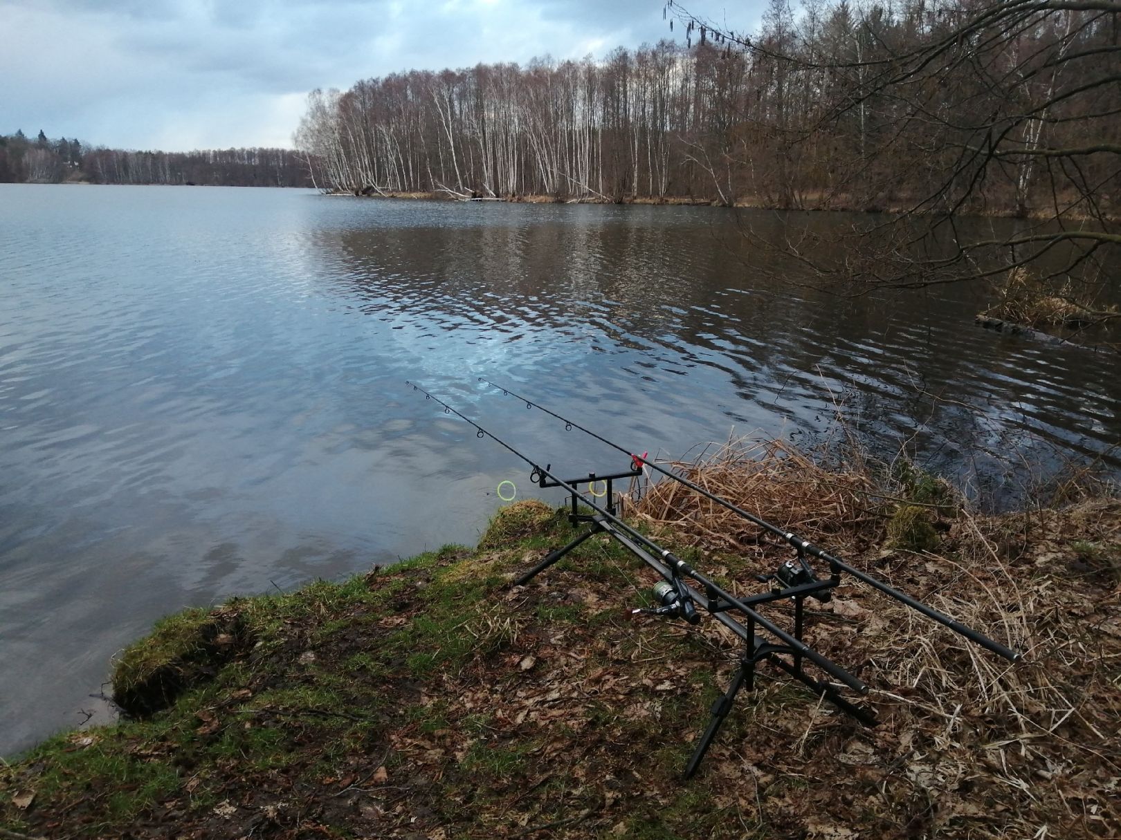 Torfstich Maxsee (Hoppegarten) angeln