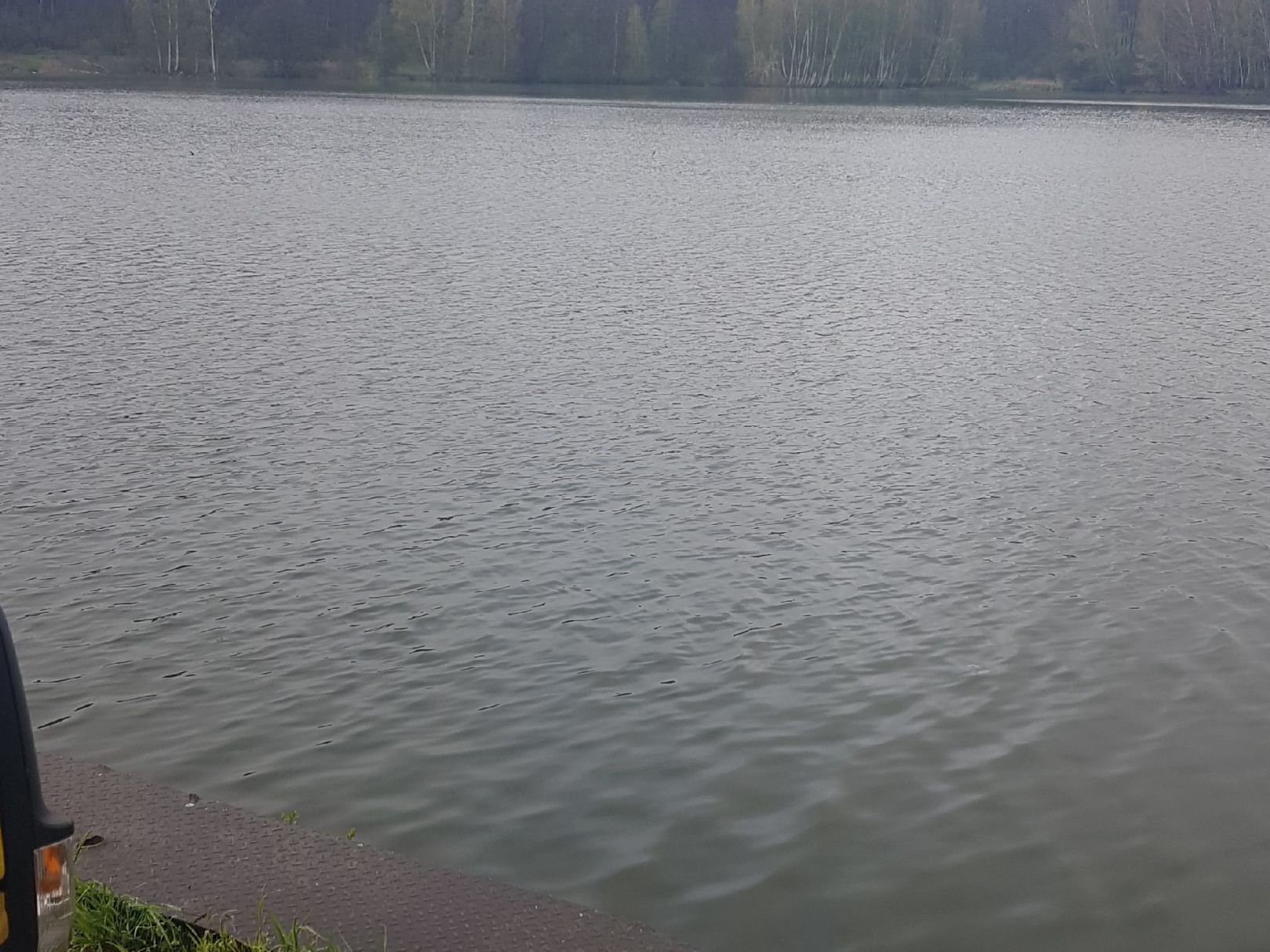 Torfstich Maxsee (Hoppegarten) angeln