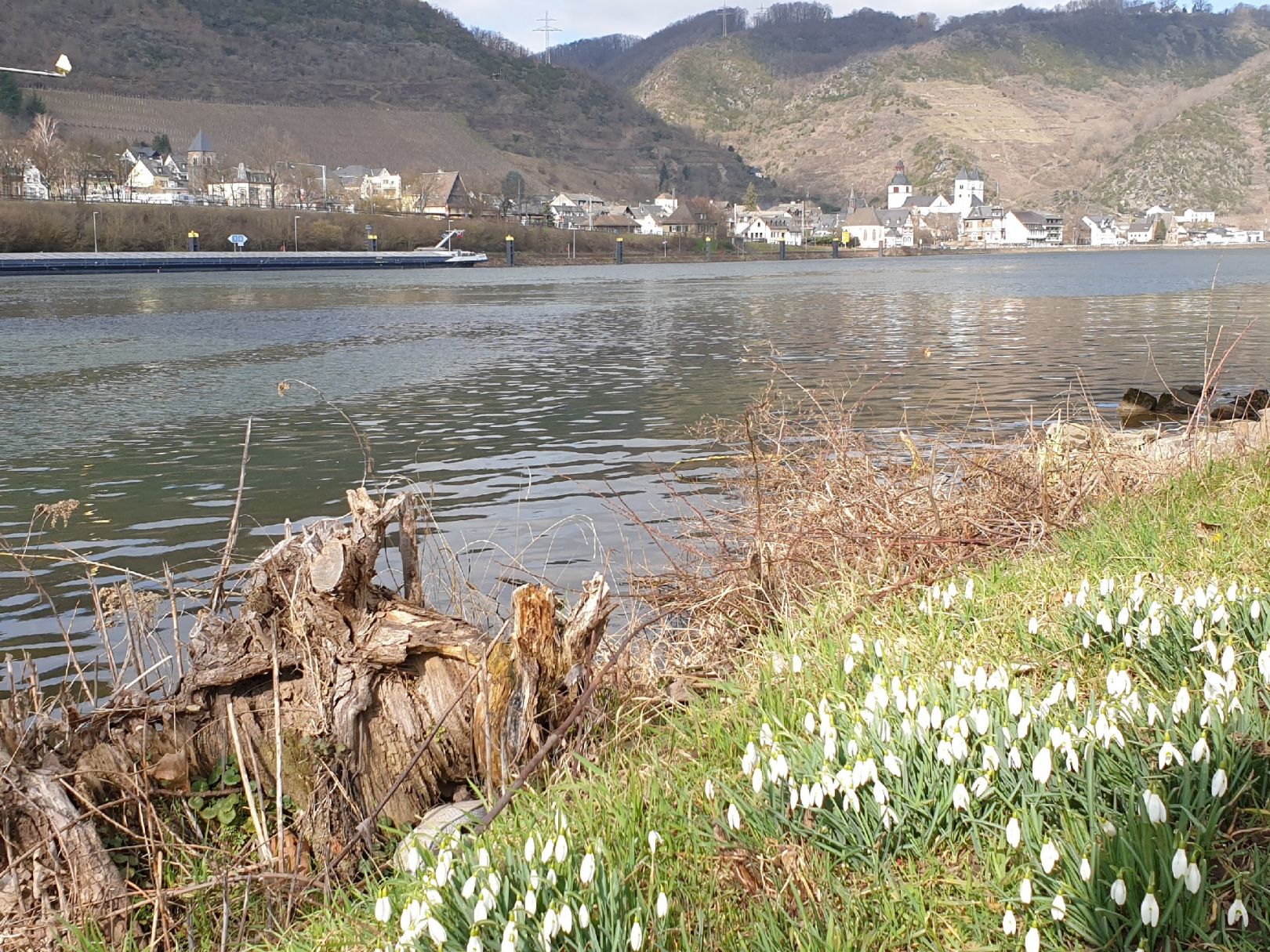 Angeln in Hatzenport