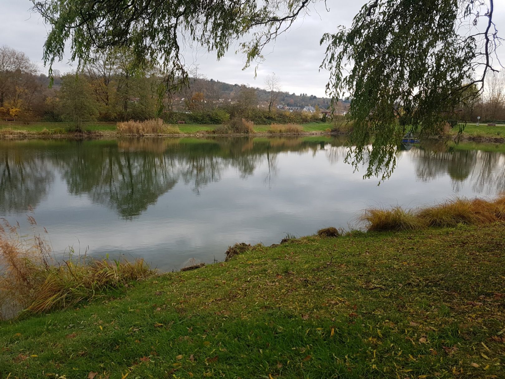 Grünesee (Herbolzheim) angeln