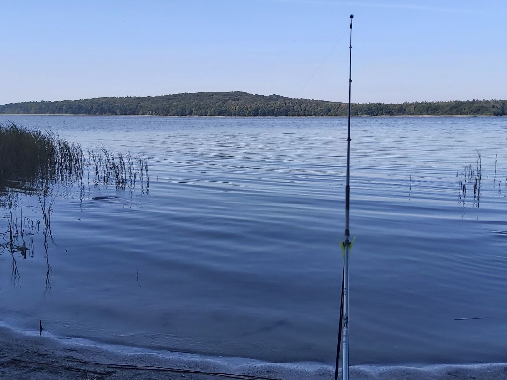 Kleiner Jasmunder Bodden angeln