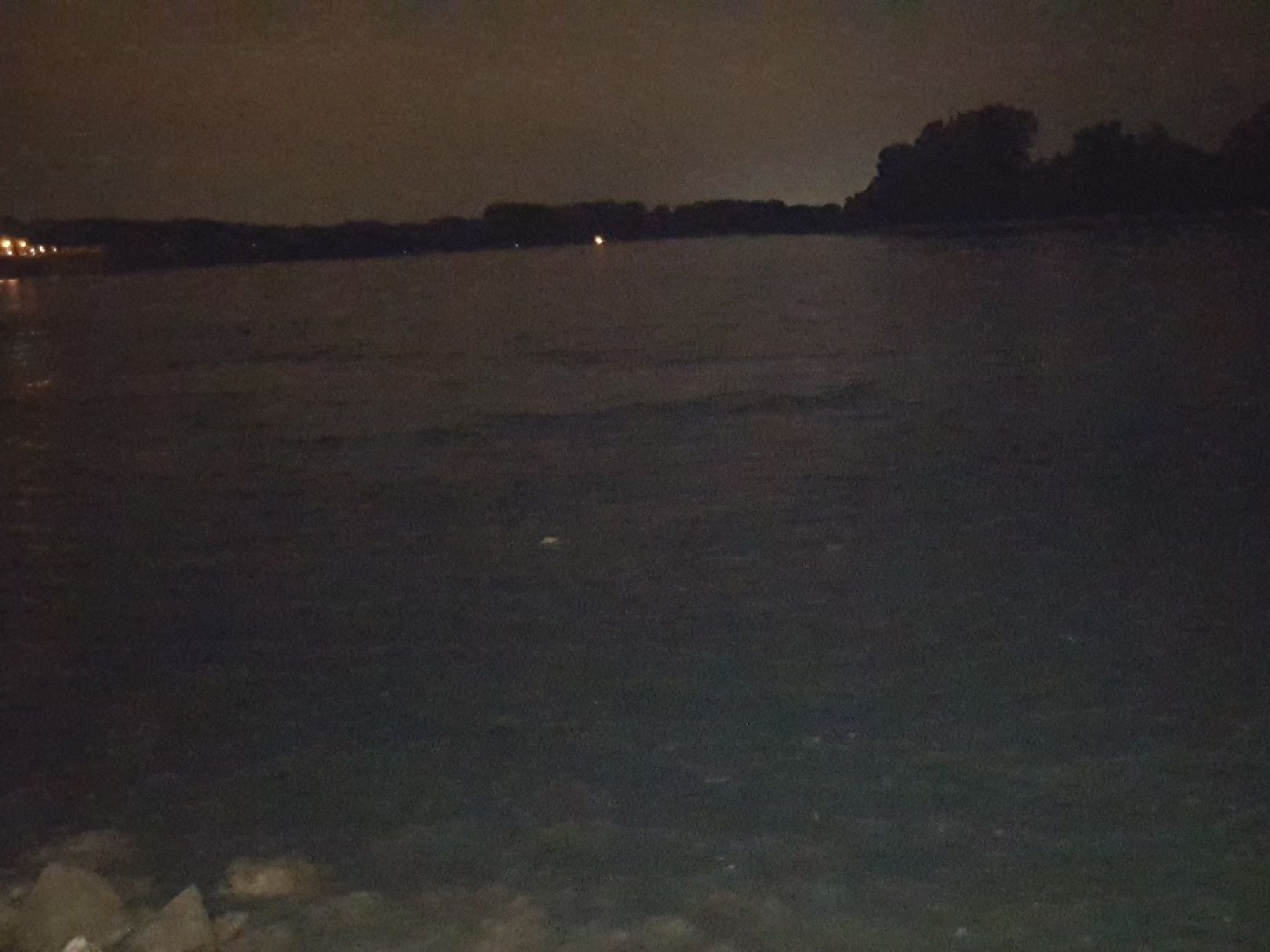 Rhein (Düsseldorf-Benrath) angeln