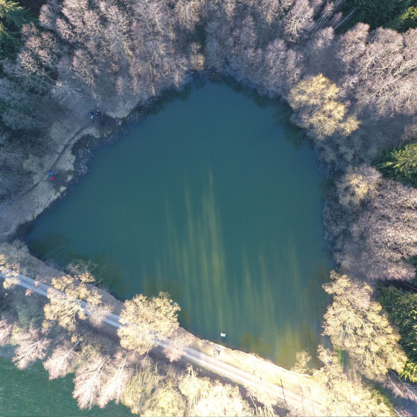 Großer Teich (Drebach) angeln