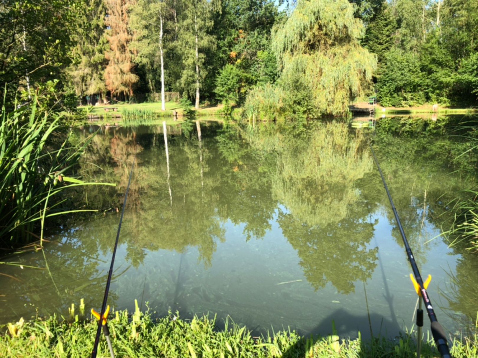 Angelpark Witterschlick ALLE ANGELN