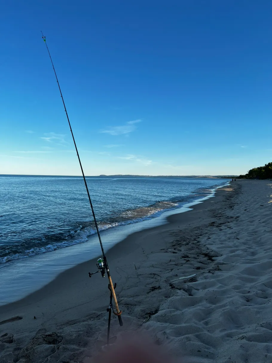 Ostsee (Nayagrop) angeln