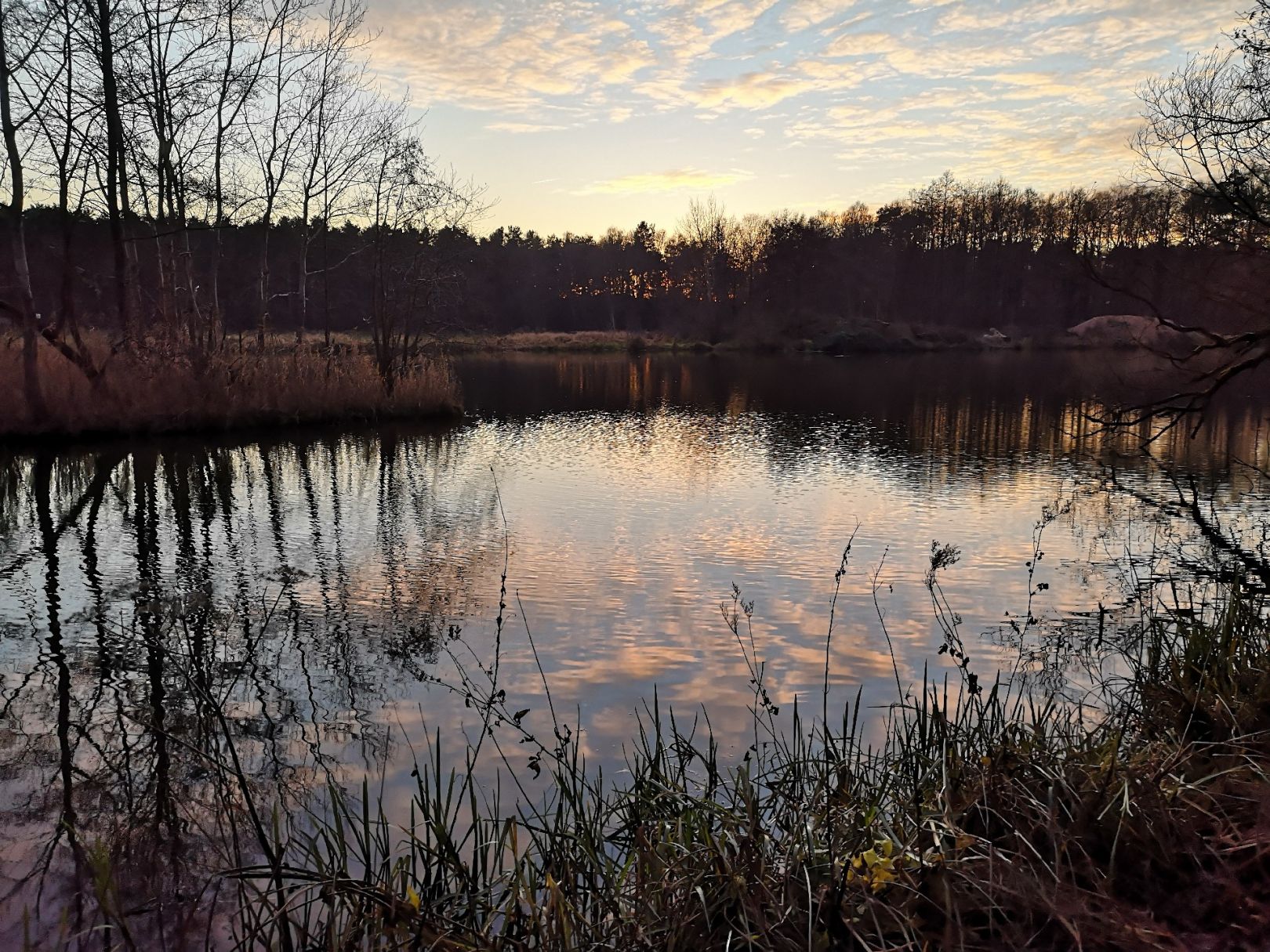 Altarm Steddener Sumpf angeln