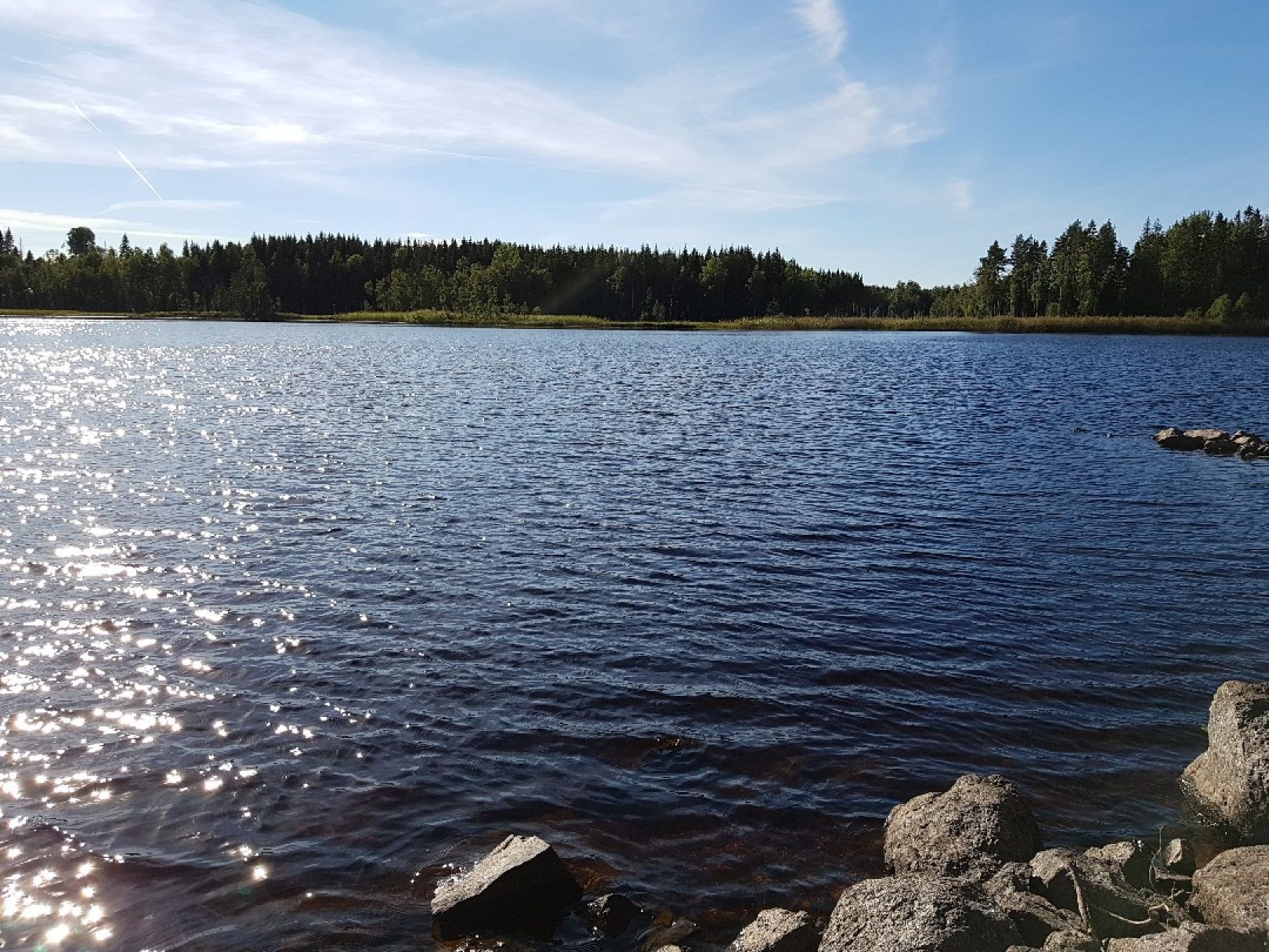 Gårdsjön angeln