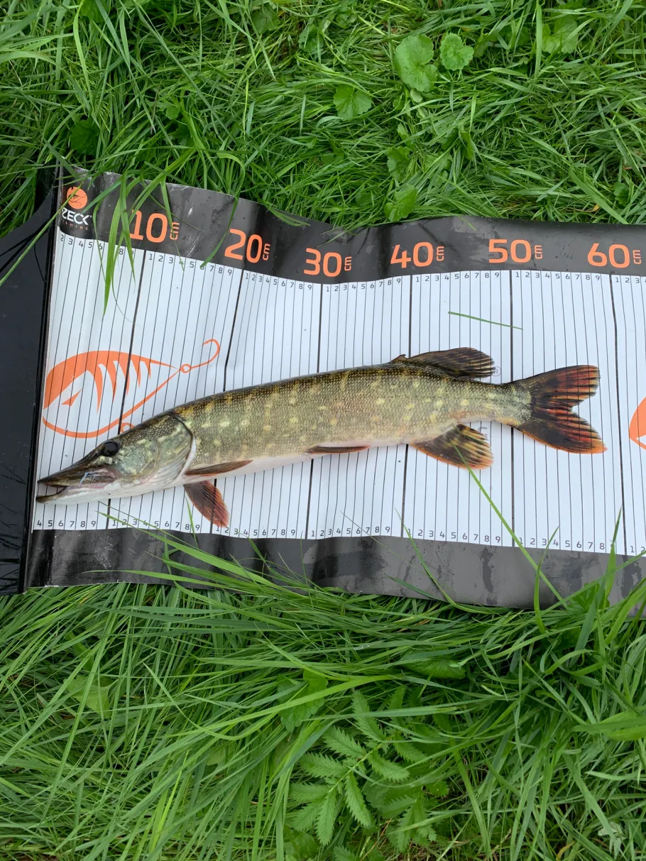 Regenauffangbecken Ahlerstedt angeln