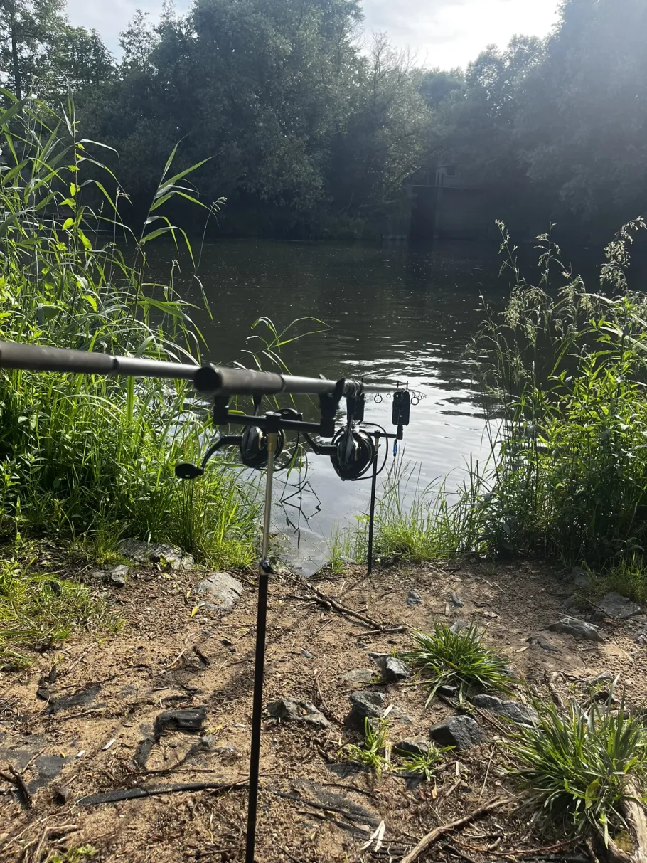Oker (Müden/Aller) angeln