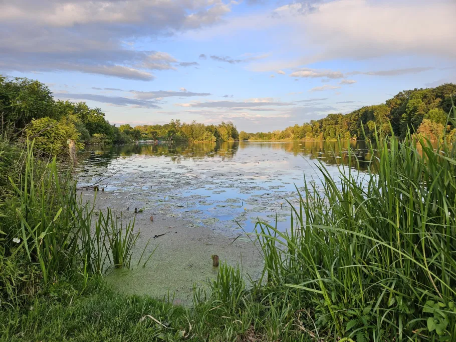 Wakenitz (Lübeck) angeln