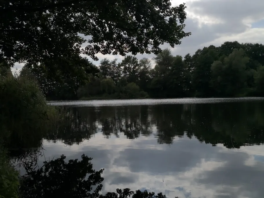 Nordische Kuhle (Hagenow) angeln