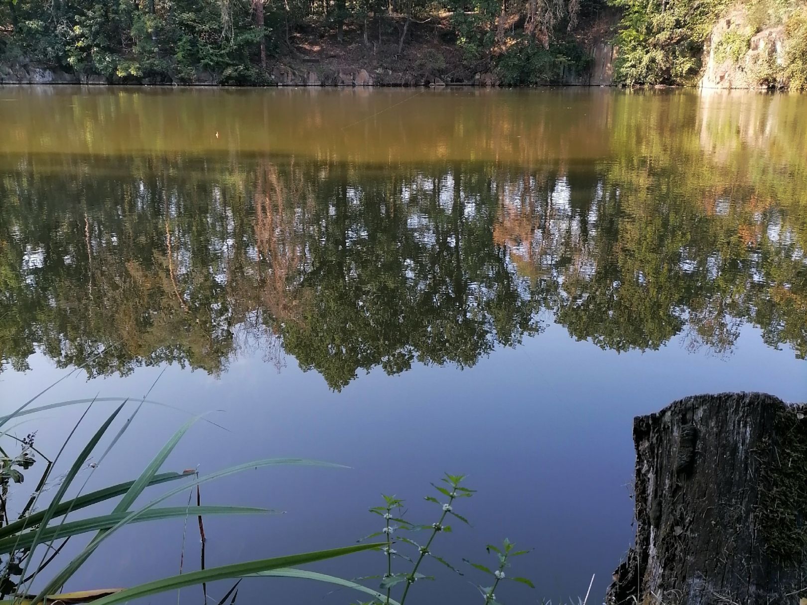 Anglerparadies Oschatz angeln