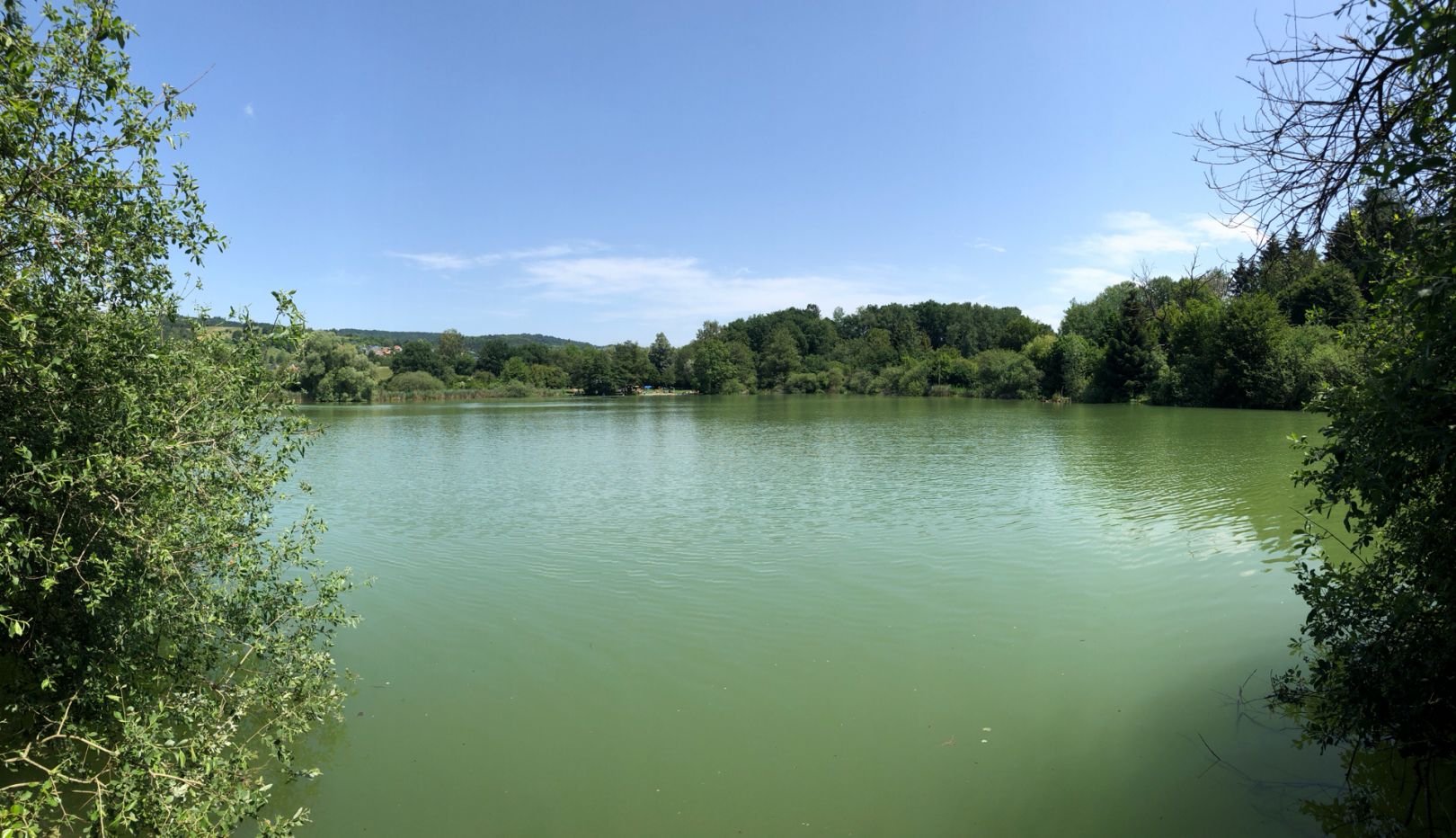 Buchenseen (Güttingen) angeln