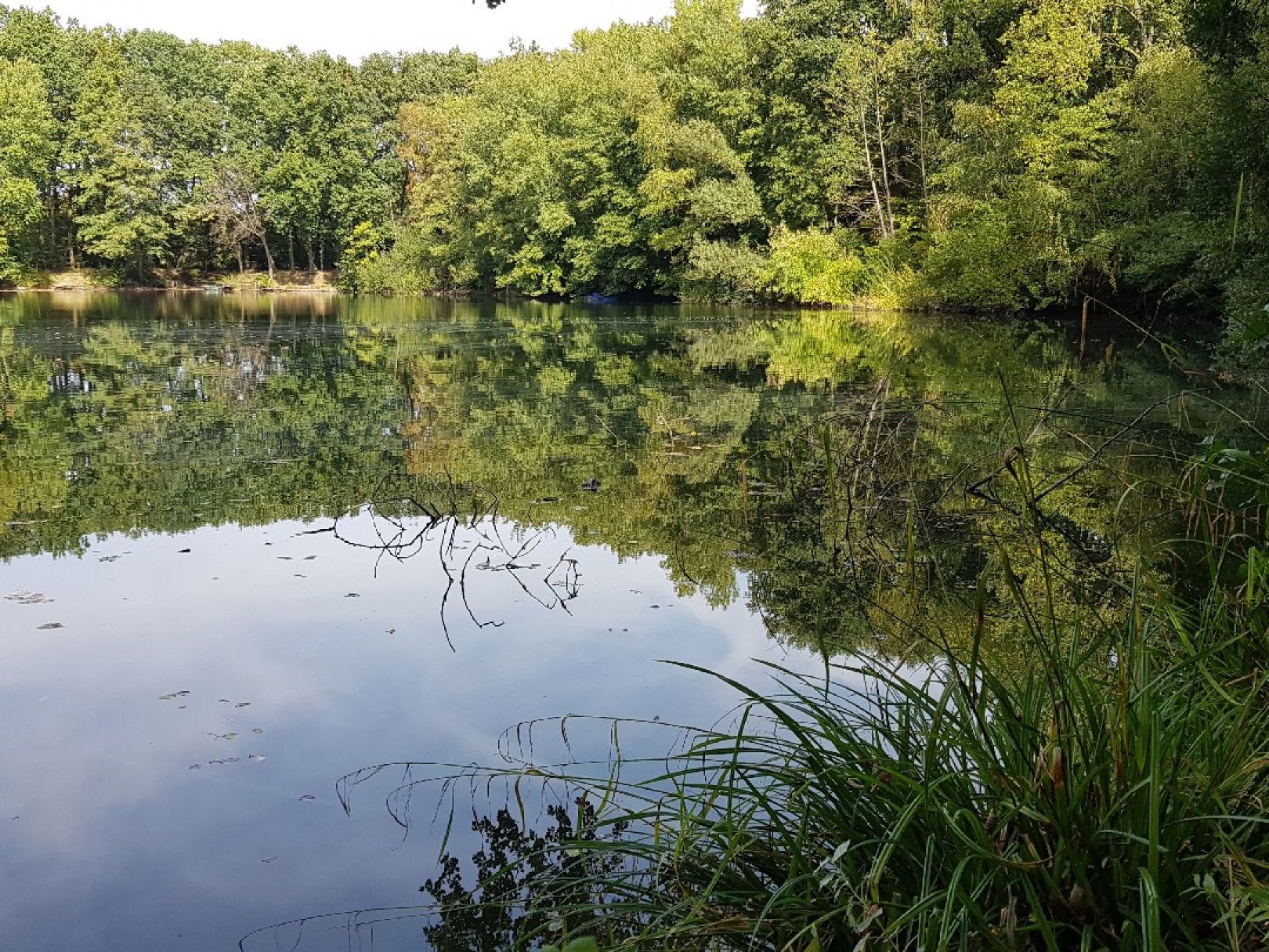 Renner See (Sankt Augustin) angeln