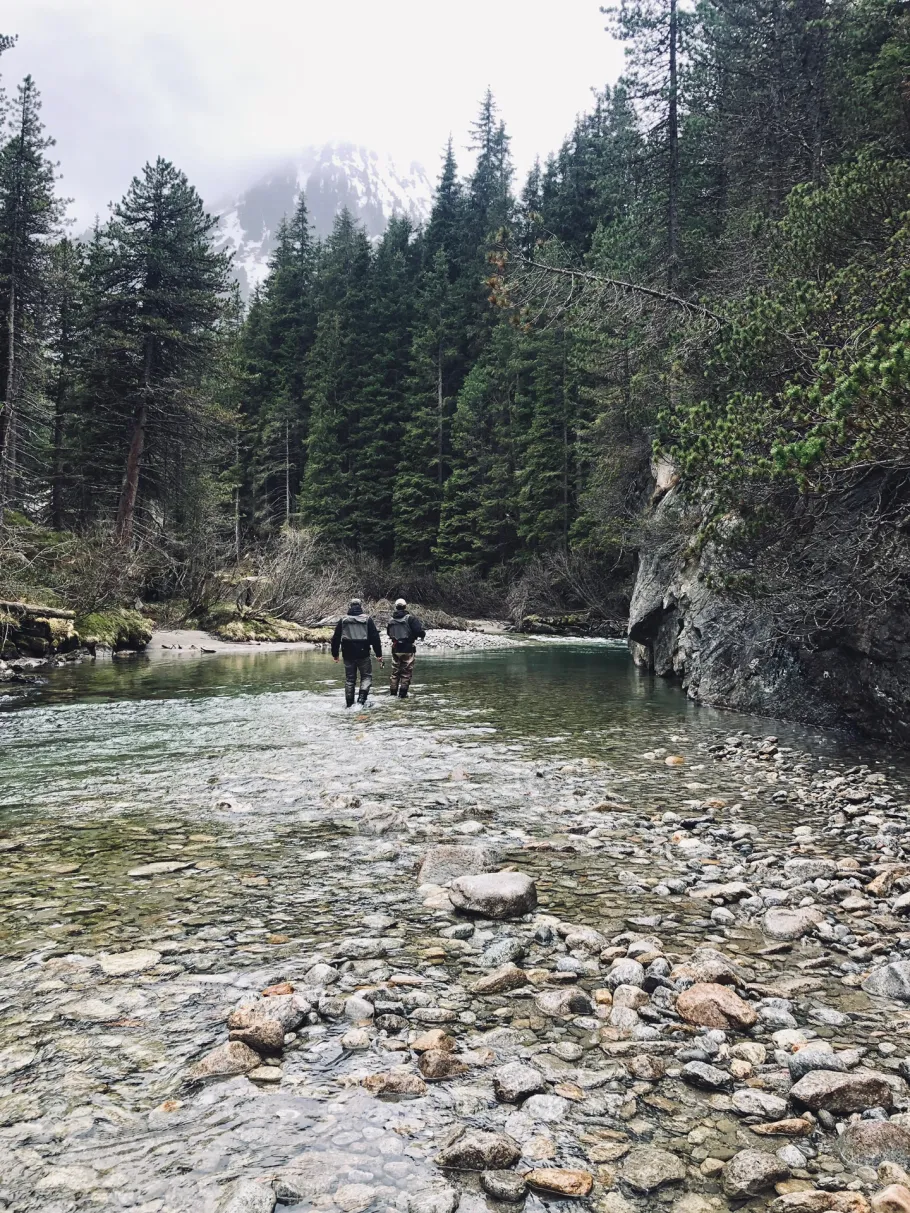 Krimmler Ache (Söllnalm) angeln