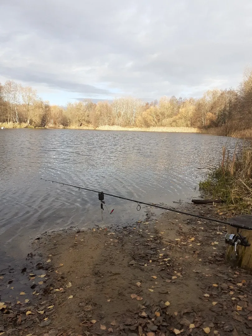 Schildower Kiessee angeln