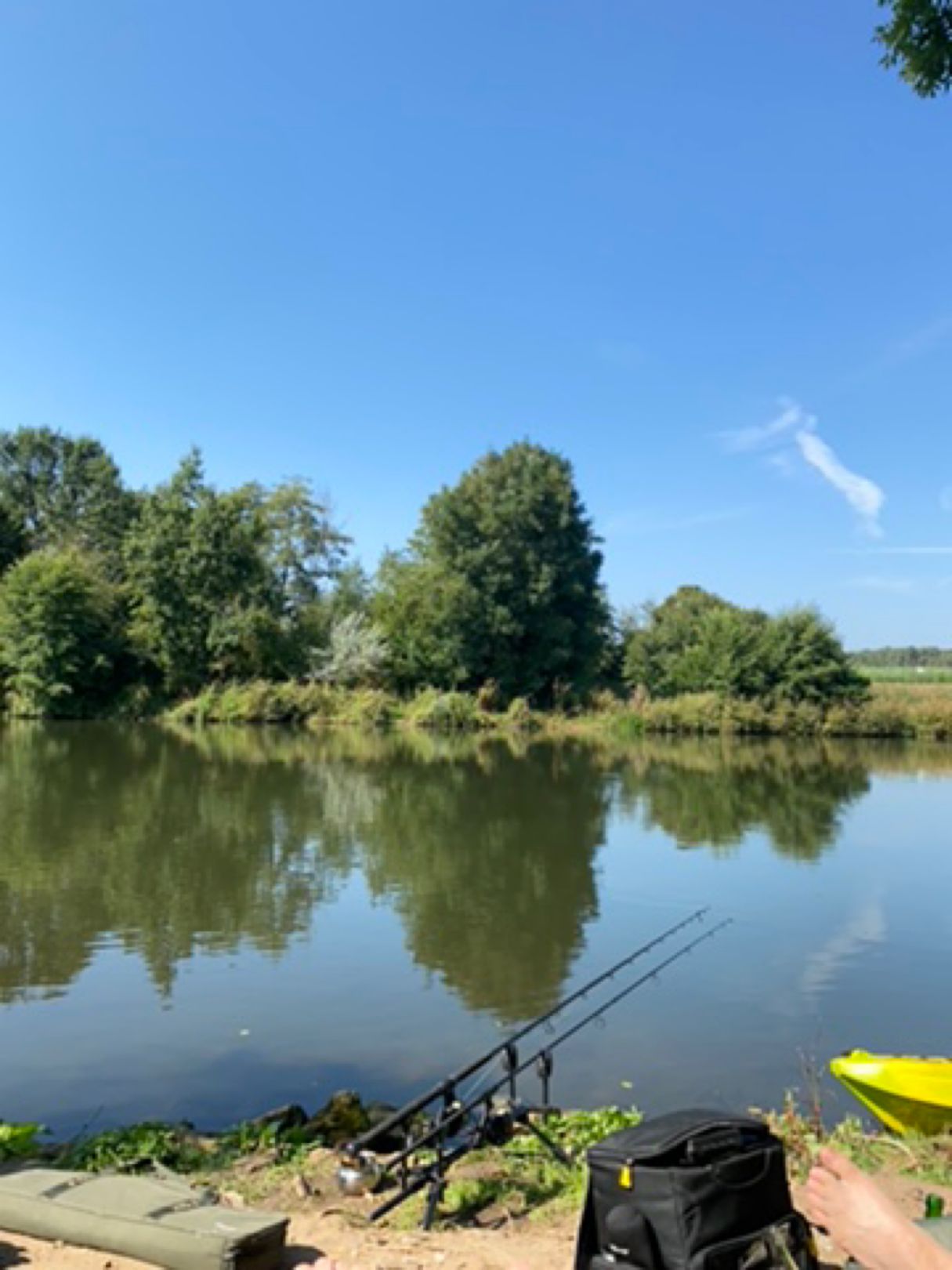 Regnitz (Hausen) angeln
