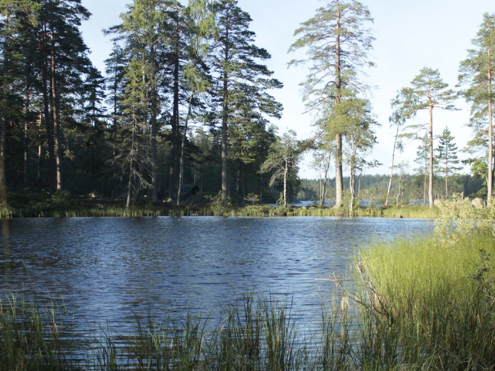 Stora Kloten angeln