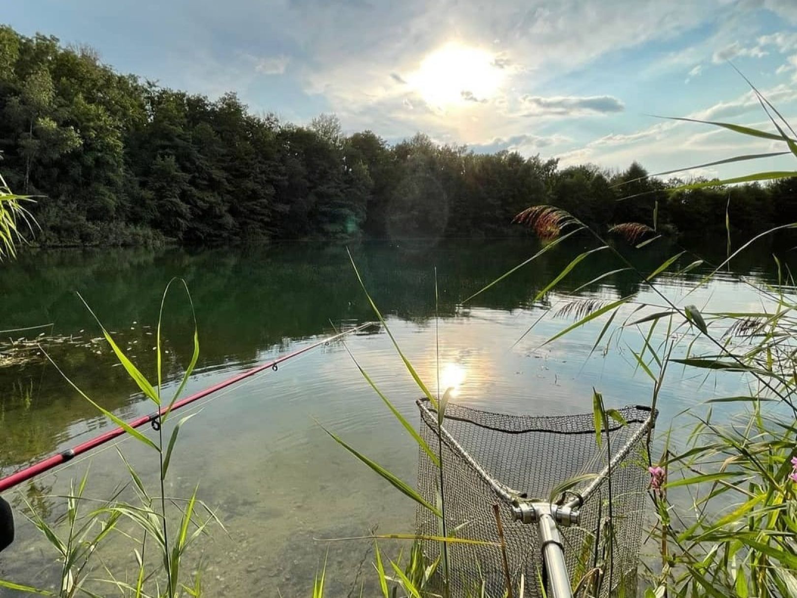 Kaolinsee (Hohburg) angeln