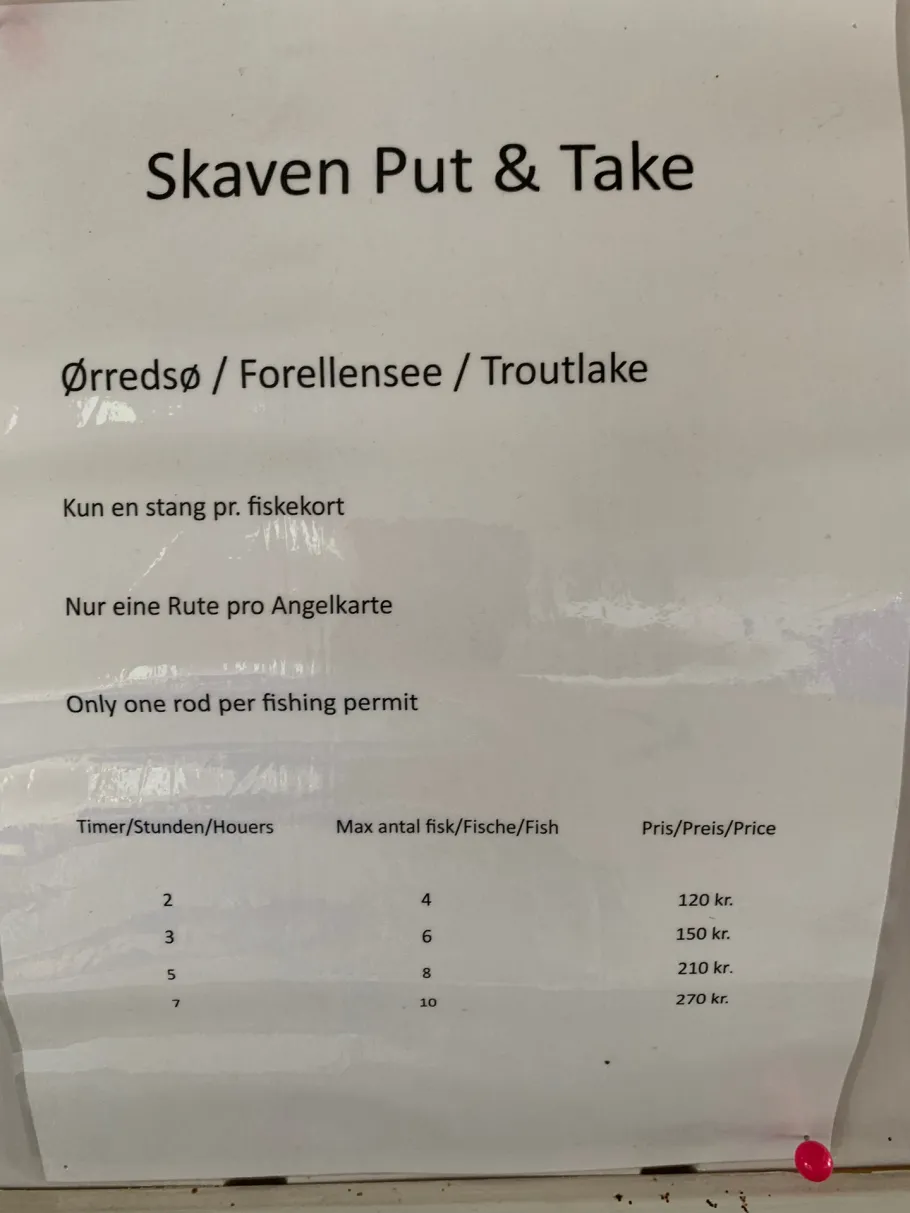 Skaven Fiskesø angeln
