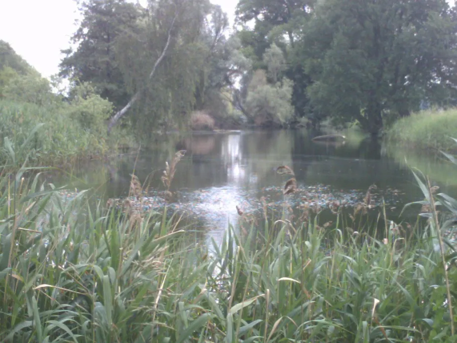 Torflöcher im Ruppiner Luch angeln
