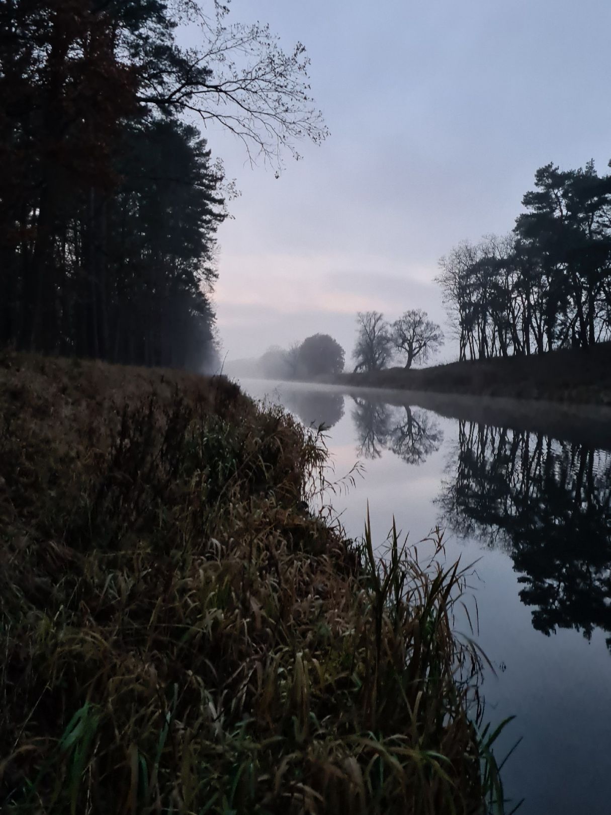 Oder-Spree-Kanal (Spreenhagen) angeln