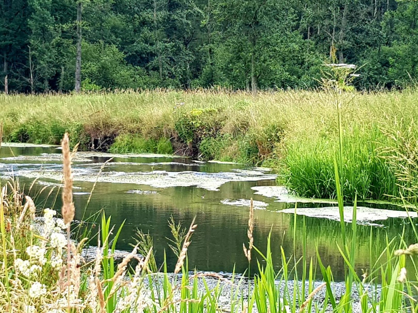 Angeln in Osterheide