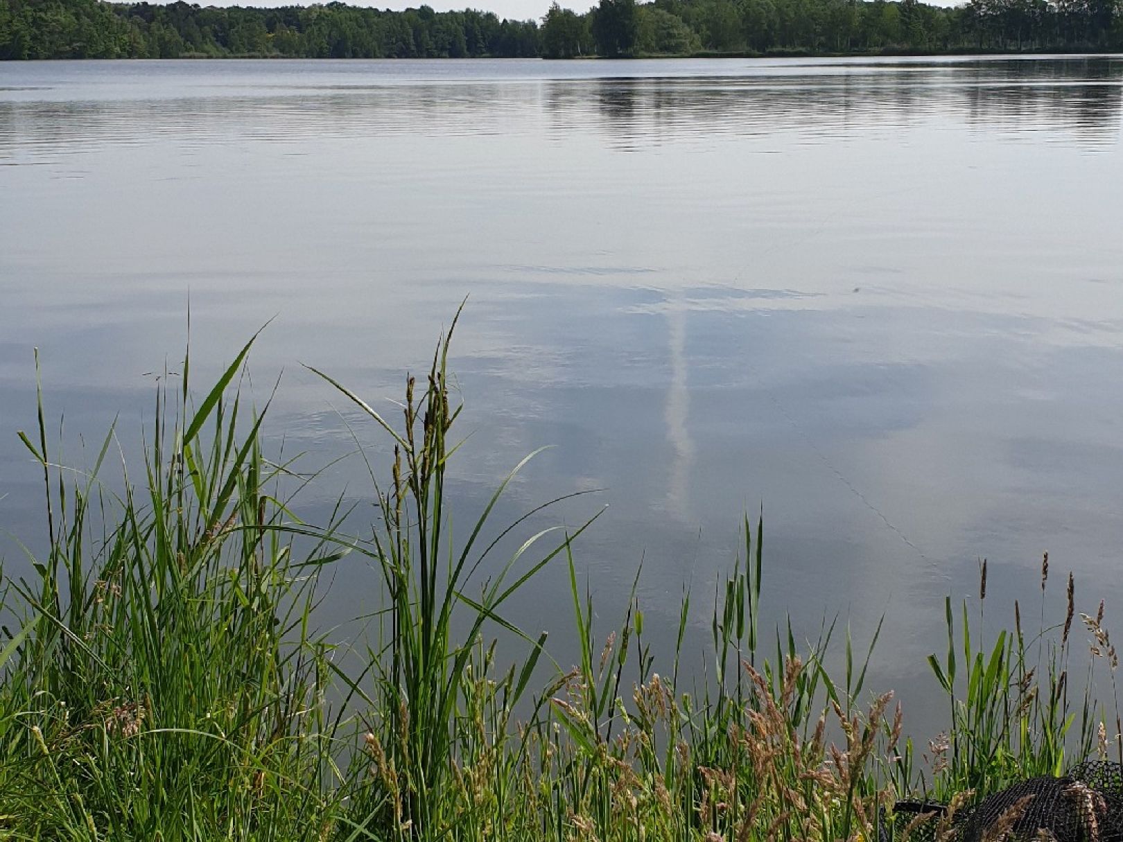 Oberteich (Kolkwitz) angeln