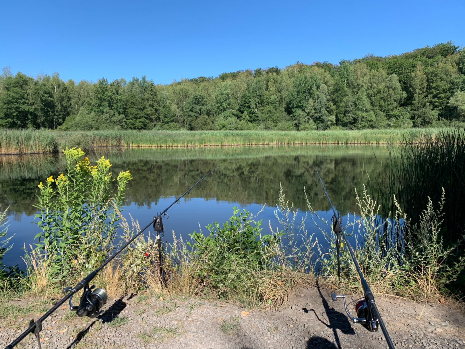 Fischbachtalweiher angeln