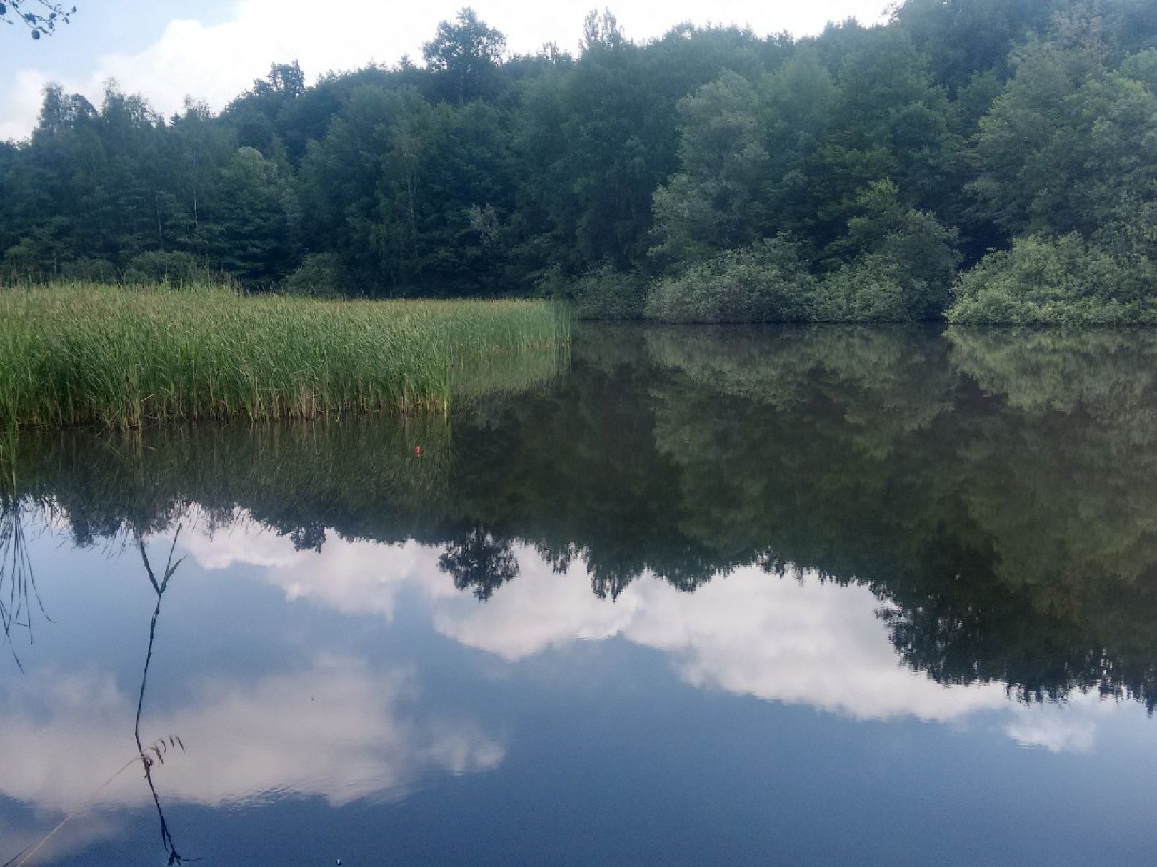 Fischbachtalweiher angeln