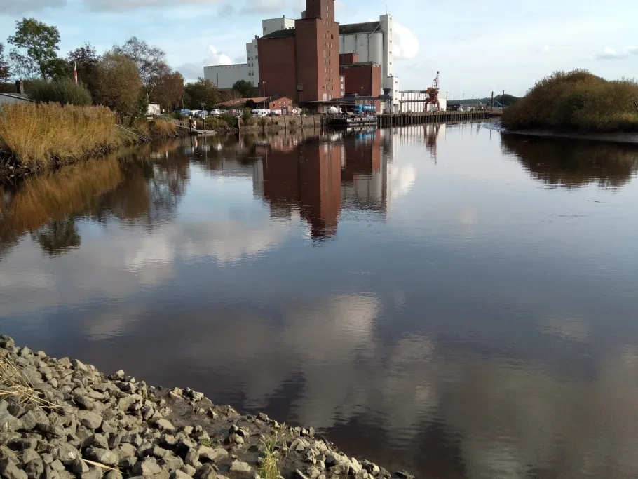 Stör (Itzehoe) angeln