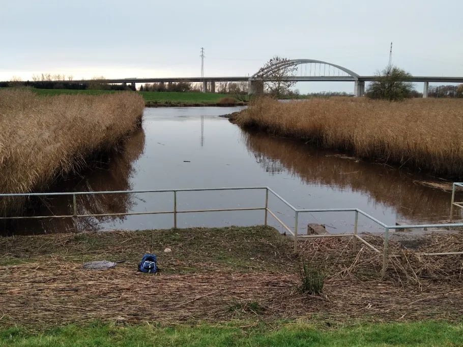 Stör (Itzehoe) angeln