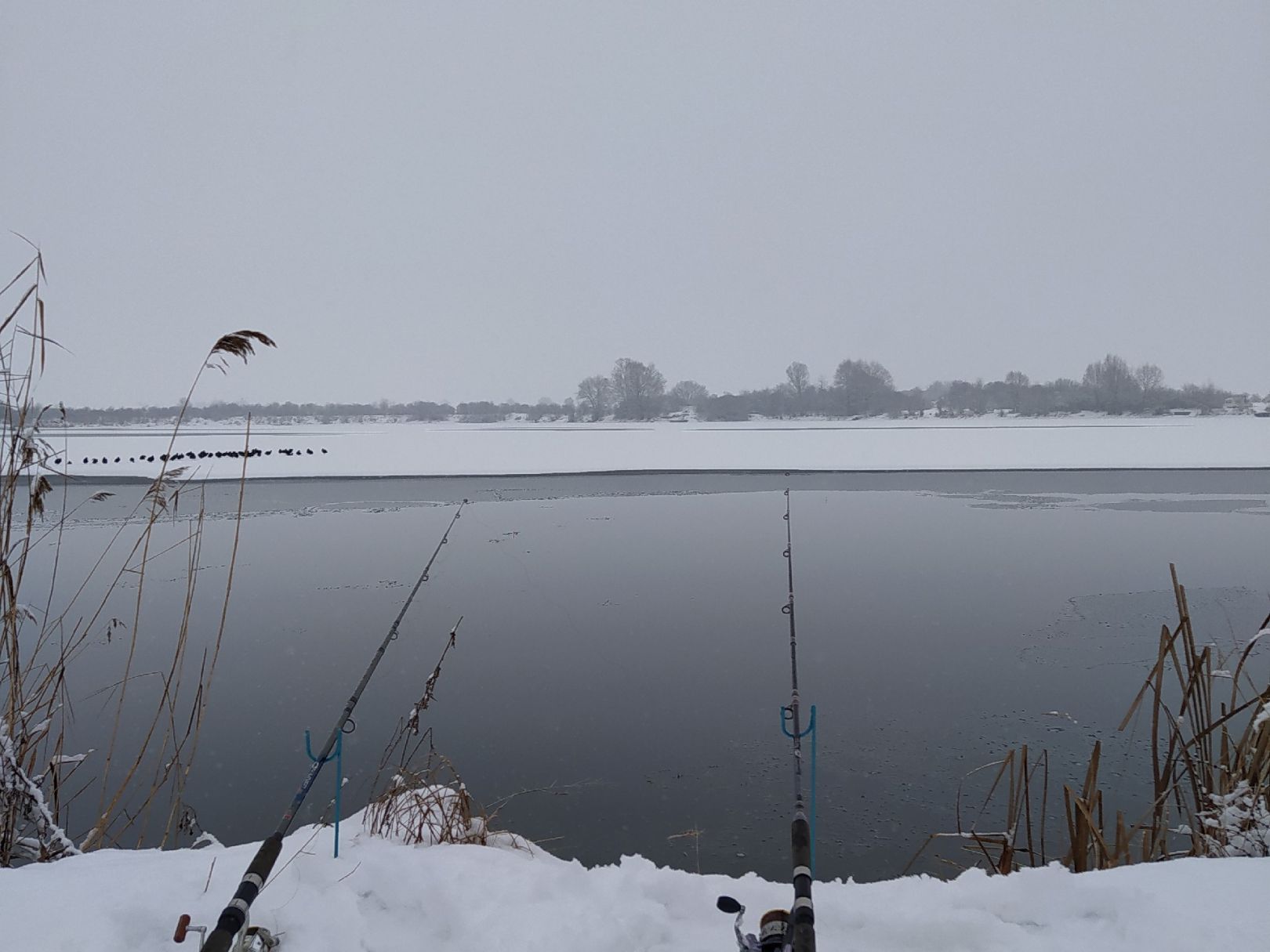 Silbersee (Wittislingen) angeln